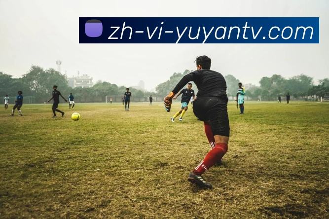 多媒体互动体验