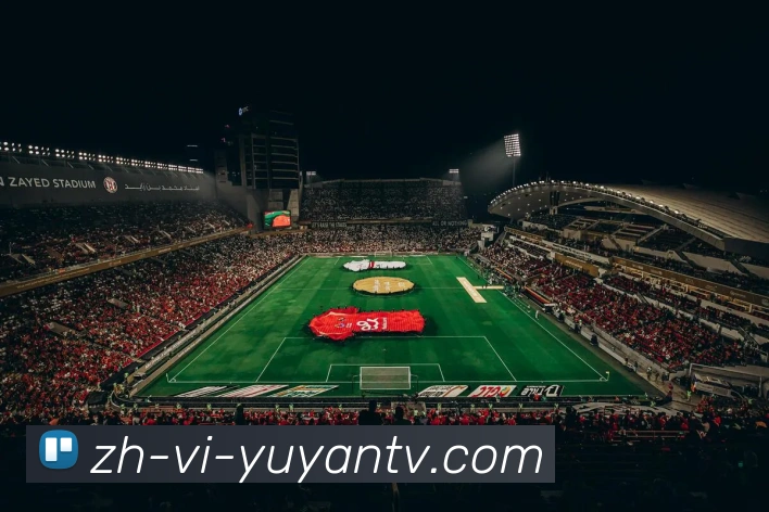 雨燕直播APP 体育赛事宣传图